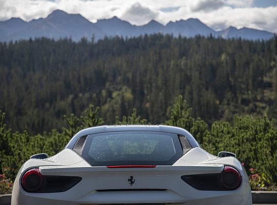 Phasellus justo augue, aliquam in orci eu